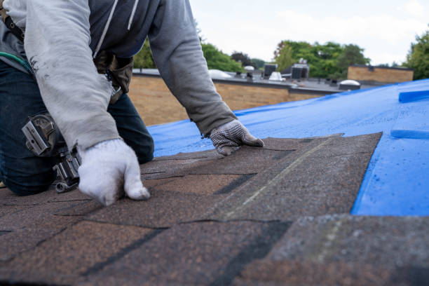 Best Flat Roof Repair Services  in Roeland Park, KS