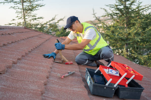 Best Roof Maintenance Services  in Roeland Park, KS
